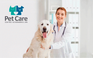 Hospital Veterinário Petcare em São Paulo