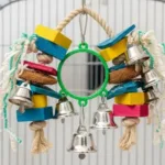 Melhores brinquedos para pássaros: como estimular o comportamento natural das aves